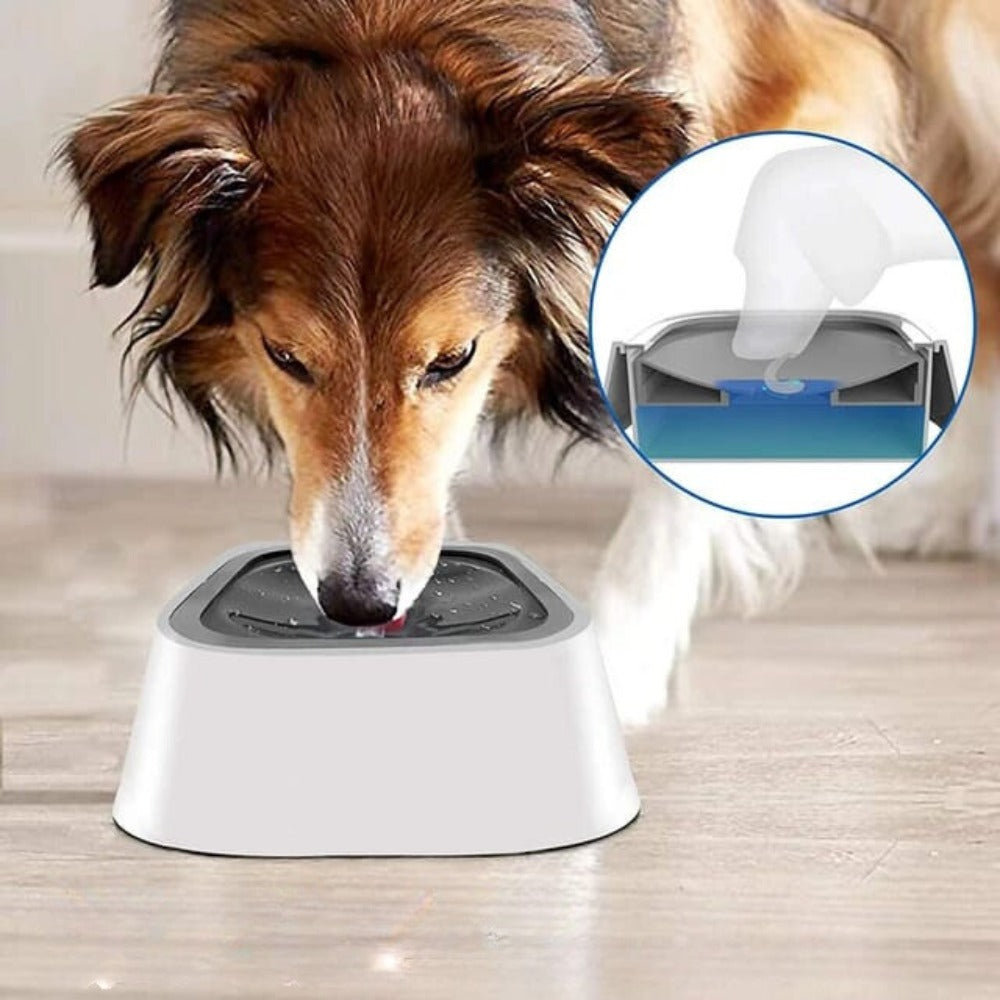 💧 HydroPup – Hidrata Sin Derrames, Cuida Sin Esfuerzo