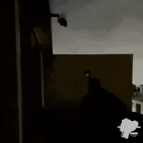 SolarGuard Lámpara Solar tipo Cámara con Sensor de Movimiento - [PROMOCIÓN DISPONIBLE SOLO HOY]