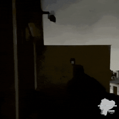 SolarGuard Lámpara Solar tipo Cámara con Sensor de Movimiento - [PROMOCIÓN DISPONIBLE SOLO HOY]